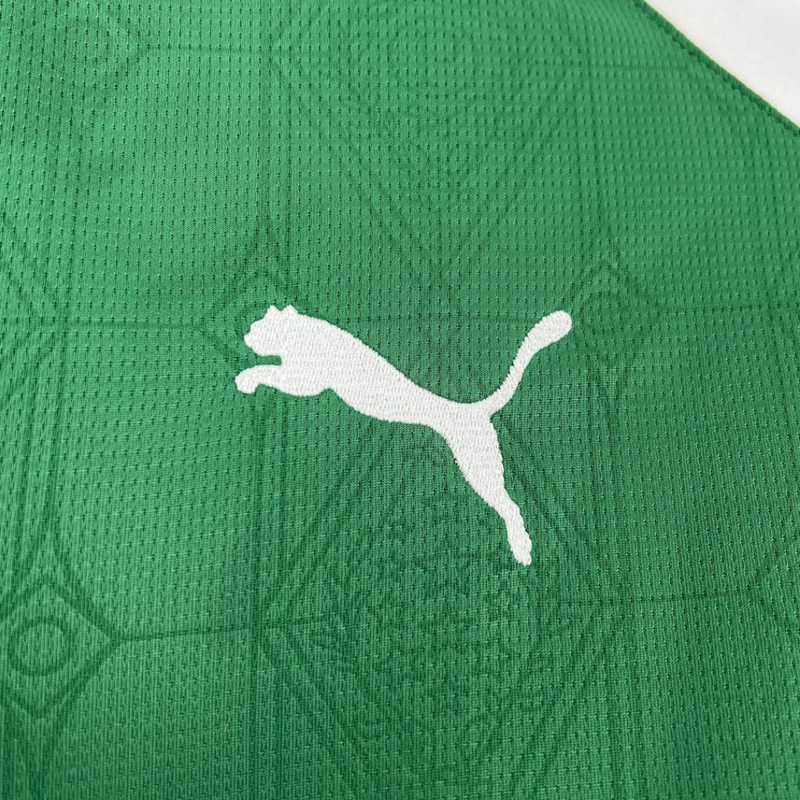 Camisa l Palmeiras 25/26 Torcedor