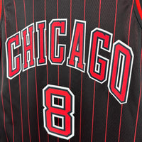 Regata NBA Chicago Bulls 25/26 Lavine