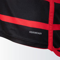 Camisa I Flamengo 24/25 Jogador