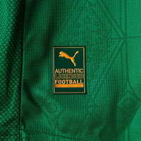Camisa I Palmeiras 25/26 Jogador