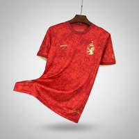 Camisa Espanha 24/25 Edição Especial