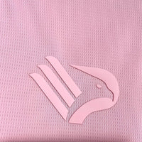 Camisa I Palermo FC 25/26