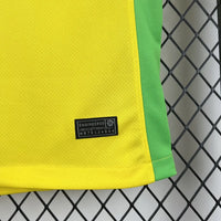 Camisa I Feminina do Brasil 25/26